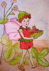 Beattie's strawberry fairy